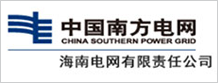 海南电网有限责任公司