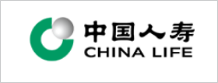 中国人寿保险（集团）公司